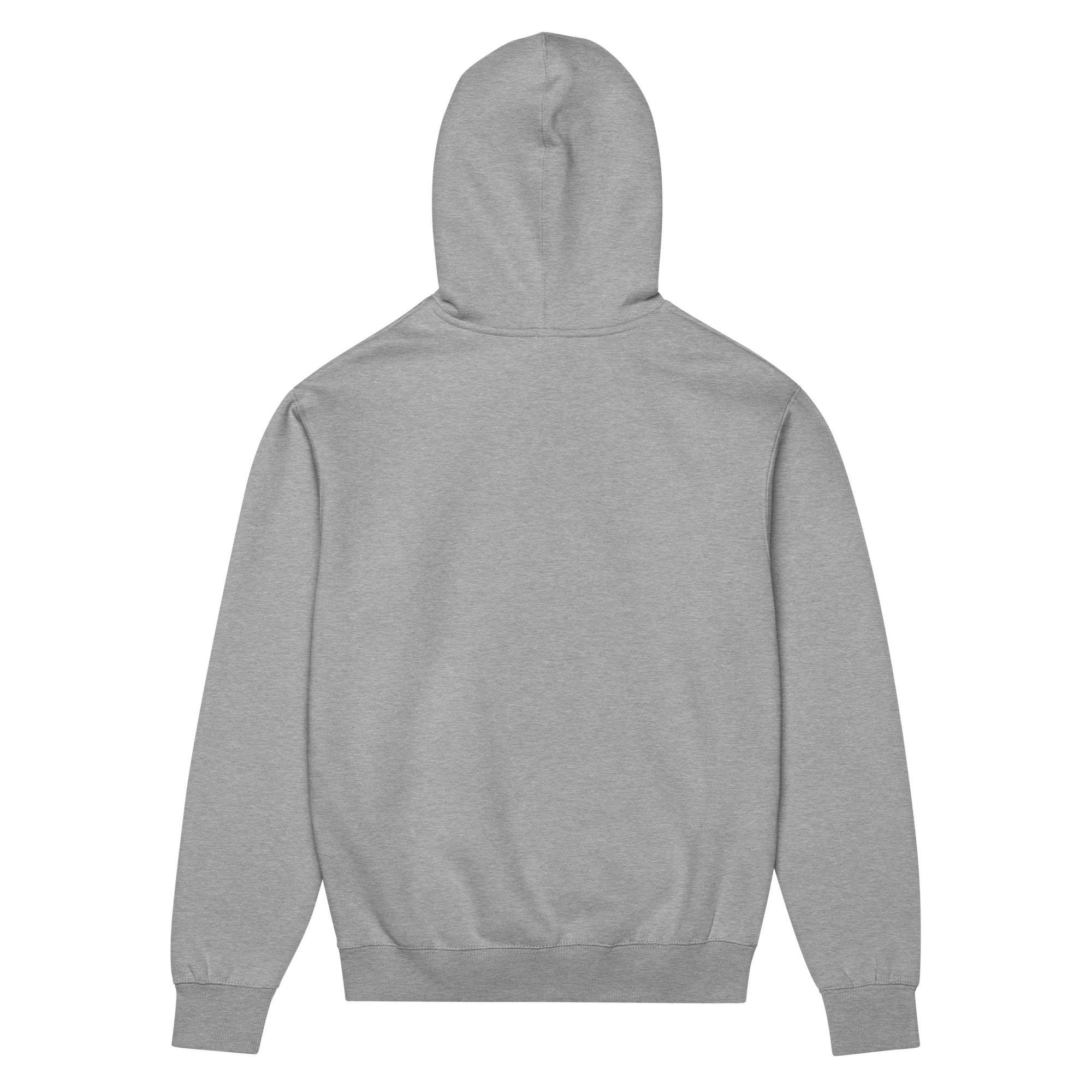 Back view of GlacierFox men’s Exclusive hoodie showing a clean minimalist back and oversized streetwear silhouette in Carbon Grey